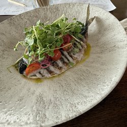 Rocksalt - Mackerel