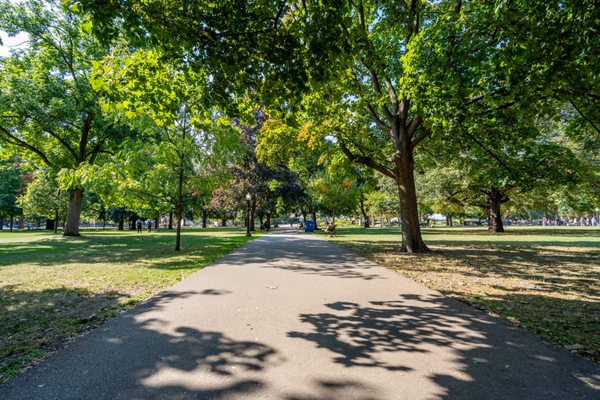 Allan Gardens Conservatory by null