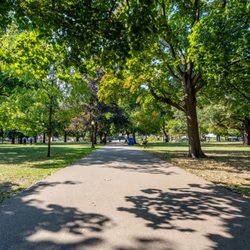 Allan Gardens - Allan Gardens pathway