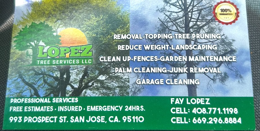 Lopez Tree Services - tree service in San Jose, CA