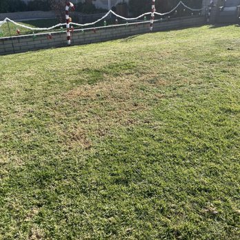 Garcia’s Landscaping - My overall clean yard - Landscaping Near Me Garcia’s Landscaping - My overall clean yard - Landscaping Near Me