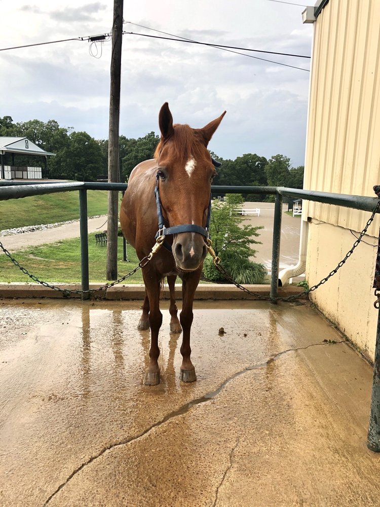 RIDGEFIELD ARENA Updated September 2024 1410 Ridge Rd, Ballwin