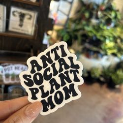 Plantae