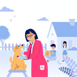 BetterVet - Pittsburgh