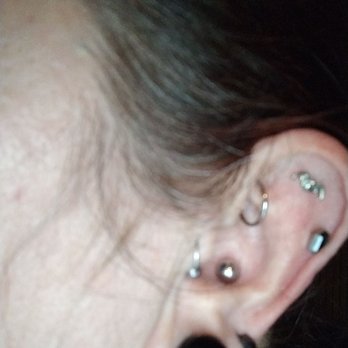 13 Bats Tattoo and Piercing Studio - Adorable white gold bat. Perfect piercing, well healed. ,, - Tattoo Near Me - San Francisco, California 13 Bats Tattoo and Piercing Studio - Adorable white gold bat. Perfect piercing, well healed. ,, - Tattoo Near Me - San Francisco, California