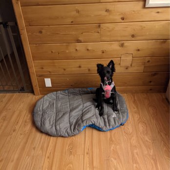 Fun Paw Care - Pet Training Near Me - Los Angeles, California Fun Paw Care - Pet Training Near Me - Los Angeles, California