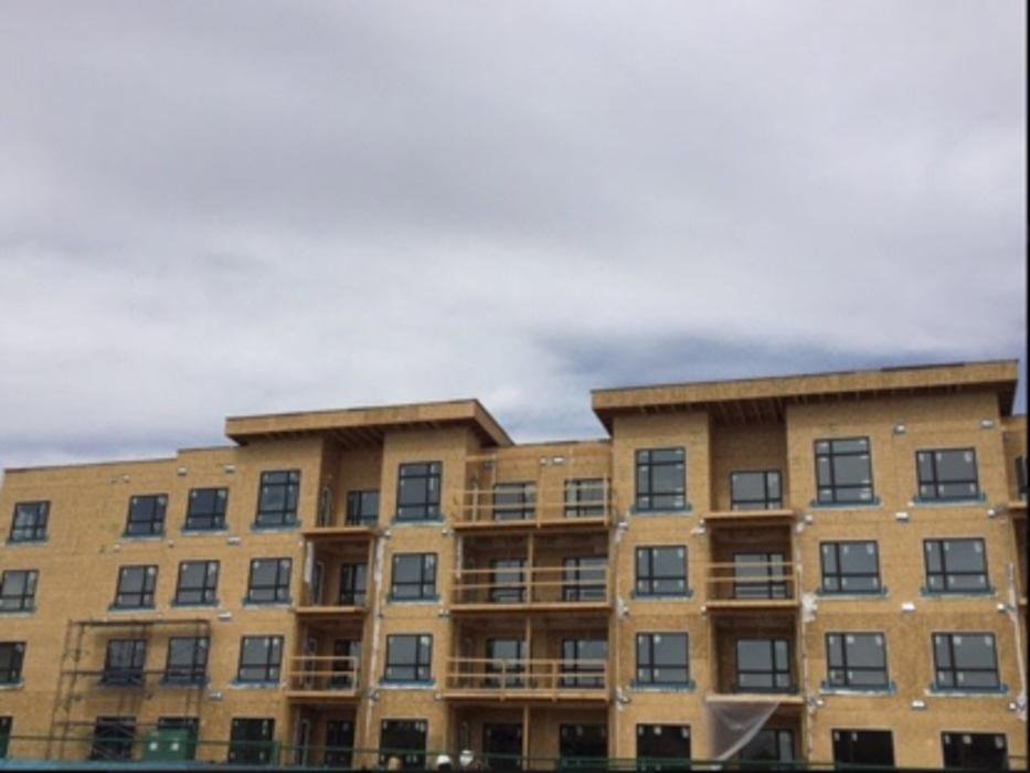 INTERNATIONAL PAINTING & DRYWALL COMPANY Updated August 2024 12539 128 Street NW, Edmonton