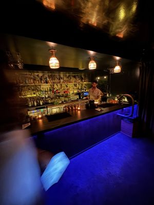 Green Lady Cocktail Room by null