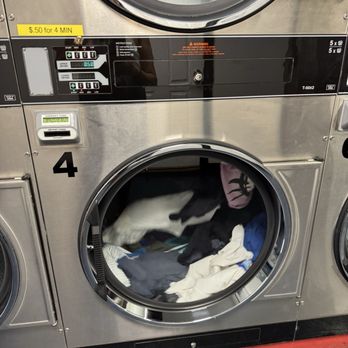 King Laundromat - Laundromat Near Me - Urban Honolulu, Hawaii King Laundromat - Laundromat Near Me - Urban Honolulu, Hawaii