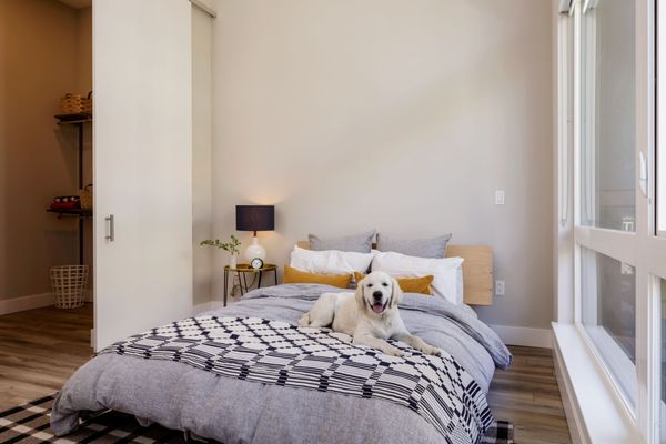 The Dean Apartments by null