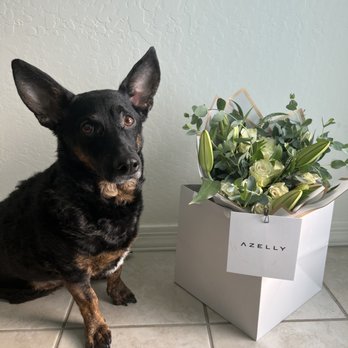 Azelly Flowers - Florists Near Me - Gilbert, Arizona