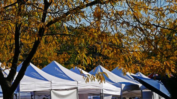 Hollywood Farmers Market by null