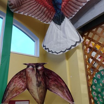 World Kite Museum - Museums Near Me - Long Beach, Washington World Kite Museum - Museums Near Me - Long Beach, Washington