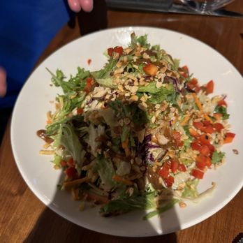 J. Alexander's - Thai Kai Salad - Steakhouses Near Me - Cincinnati, Ohio