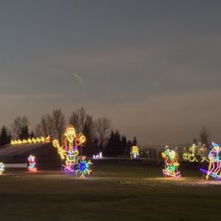 Winter Wonderland Holiday Light Show