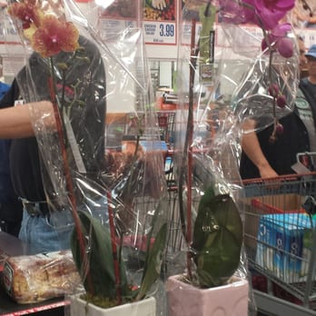 Costco - Orchids for a friend.   She loves them!   :) - Wholesale Stores Near Me - Scottsdale, Arizona