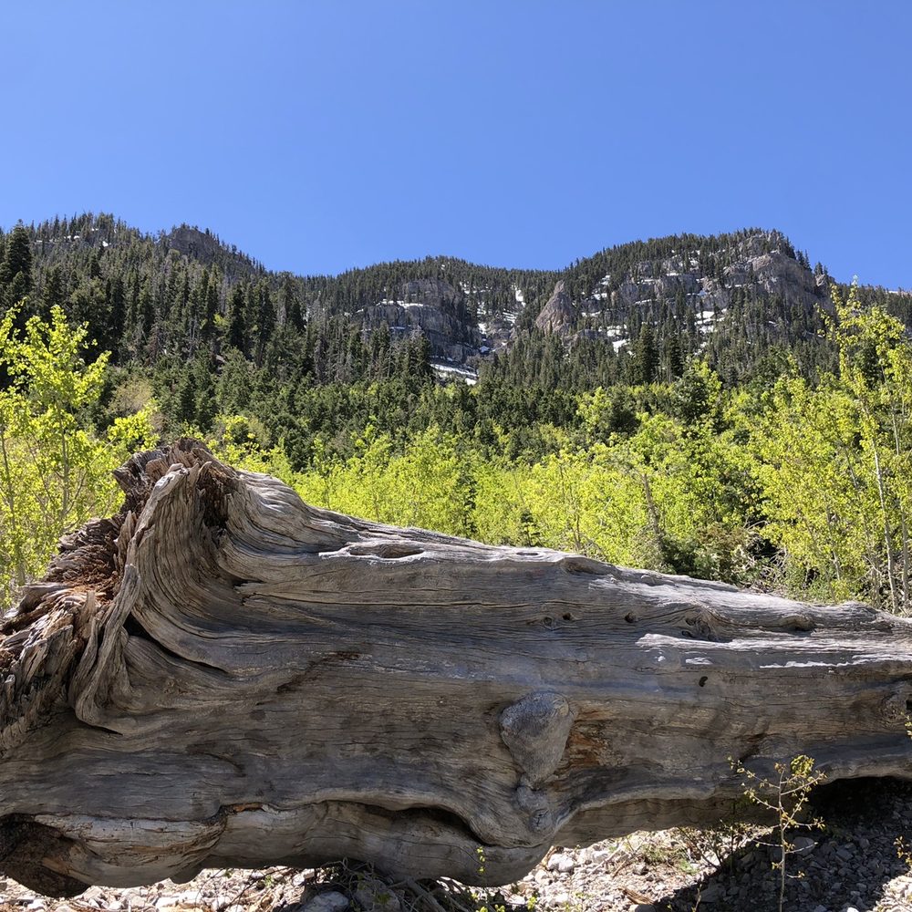 Cathedral Rock - Hiking Near Me - Mt Charleston, Nevada
