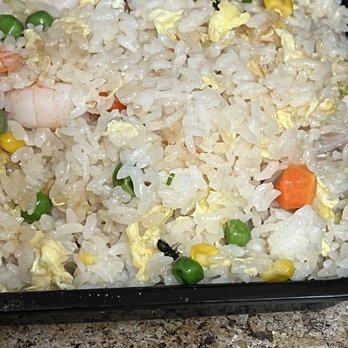Hi House - 2 dead bugs in food - Chinese Near Me - Irvine, California Hi House - 2 dead bugs in food - Chinese Near Me - Irvine, California