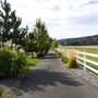 Photo of Pine Valley Ranch
