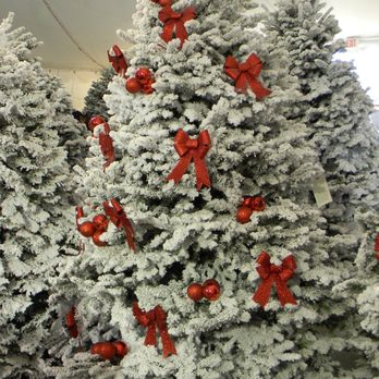 ABC Tree Farms - Christmas Trees Near Me - San Francisco, California ABC Tree Farms - Christmas Trees Near Me - San Francisco, California