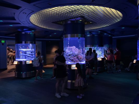 The Seas with Nemo & Friends by null