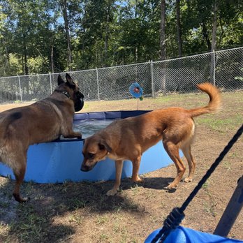 4 Paws River Lodge - Pet Boarding Near Me - Somerville, Alabama 4 Paws River Lodge - Pet Boarding Near Me - Somerville, Alabama