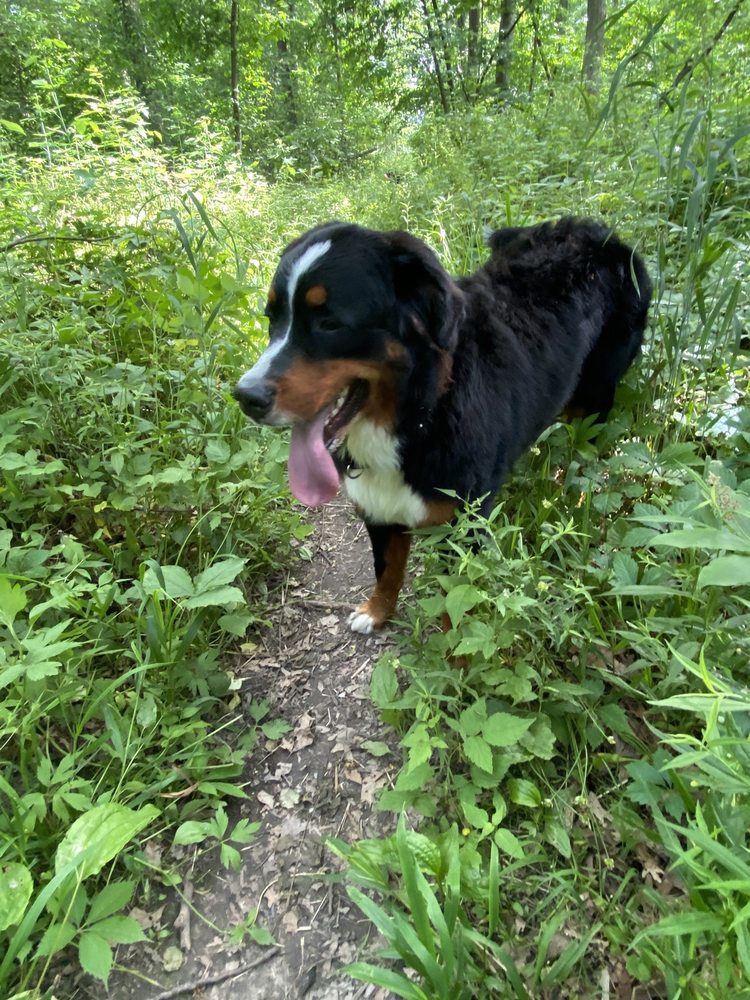 Aurora West Forest Preserve - social services organization in Aurora, IL