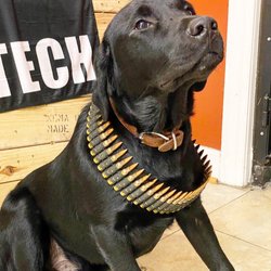 Davis Guns & Gear LLC - Moose