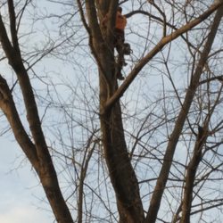 Target Property Services - Thats some Top Notch Tree climbing right there. Let me know if you have any unwanted or dangerous trees.