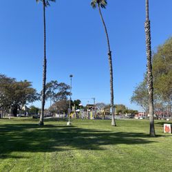 Grassy field