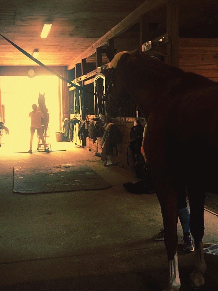 STONY BROOK FARM Updated August 2024 28 Longmeadow Rd, Norfolk