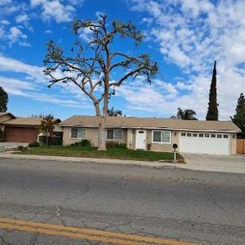 Carlos Tree Service - After work is completed. Beautiful happy tree!! - Tree Services Near Me
