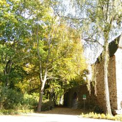 Stadtmauer