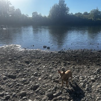 1000 Acre Dog Park - Shore area - Dog Parks Near Me - Troutdale, Oregon 1000 Acre Dog Park - Shore area - Dog Parks Near Me - Troutdale, Oregon