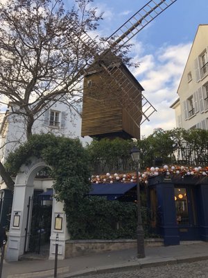 Discover Walks by null