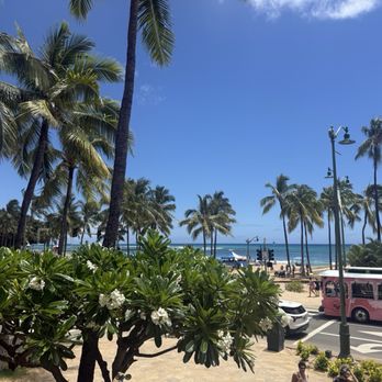 Lulu's Waikiki - The view - Burgers Near Me - Honolulu, Hawaii Lulu's Waikiki - The view - Burgers Near Me - Honolulu, Hawaii