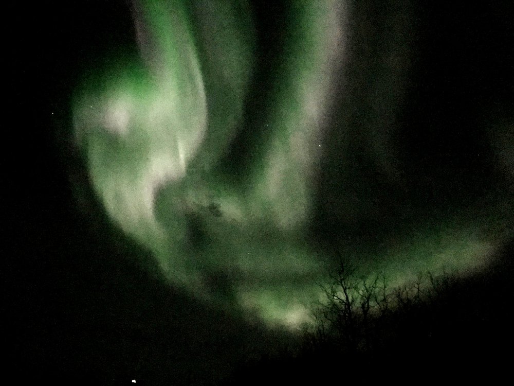 ESTER DOME OBSERVATORY Updated September 2024 Ester Dome Rd