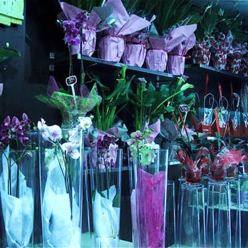 Lila's Flowers - Inside - Florists Near Me - Gardanne, 13 Lila's Flowers - Inside - Florists Near Me - Gardanne, 13