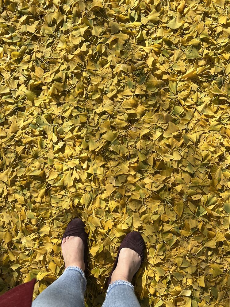 ATHERTON HIGH SCHOOL Updated August 2024 3000 Dundee Rd, Louisville