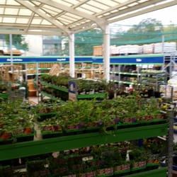 B&M - It even has a garden centre.