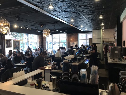 Blue Owl Coffee East Lansing by null