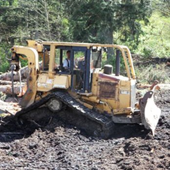 Lorric Logging - Tree Services Near Me Lorric Logging - Tree Services Near Me