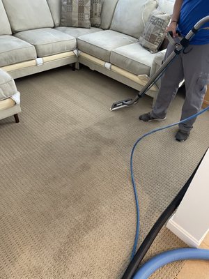 Roman Carpet Cleaning