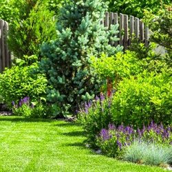 Jay's Lawn Service & Landscape - untitled