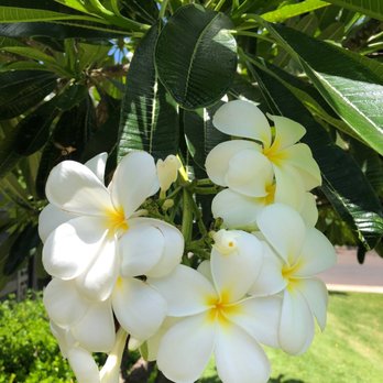 Outrigger Honua Kai Resort & Spa - Day Spas Near Me - Lahaina, Hawaii Outrigger Honua Kai Resort & Spa - Day Spas Near Me - Lahaina, Hawaii
