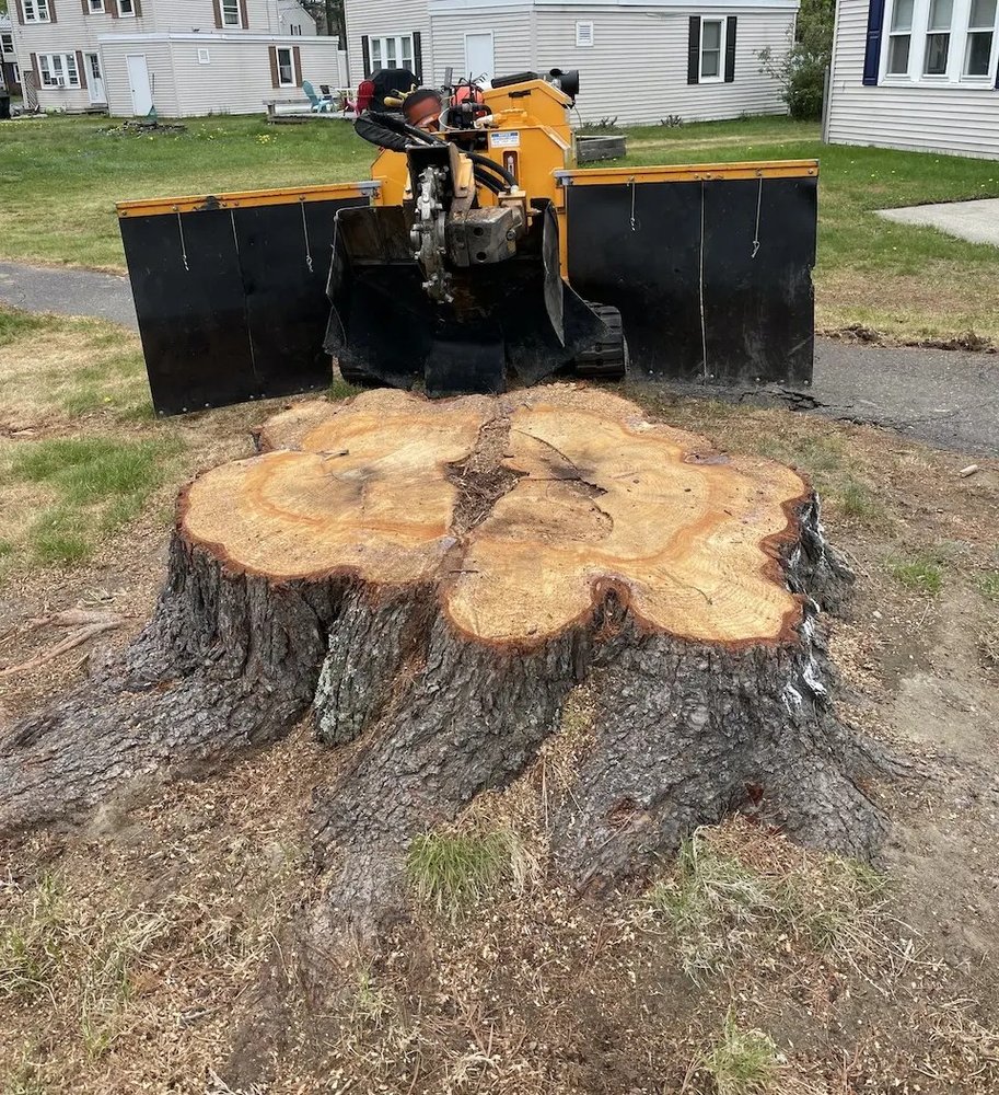 Sylvester Stump Grinding - tree service in Durham, ME