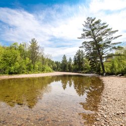Passaconaway Campground - The Swift River that flows behind the Passaconoway Campground