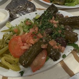 Grape Leaves (5)