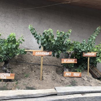 Bodegas RE - Wineries Near Me - Casablanca, VS Bodegas RE - Wineries Near Me - Casablanca, VS