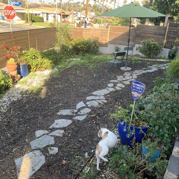 LJ’S Landscaping - Our yard BEFORE the overgrown weed. - Landscaping Near Me